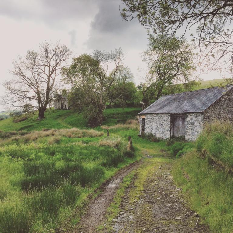 Bed and Breakfast Maes Y Gwaelod Llanwrtyd Wells Екстер'єр фото